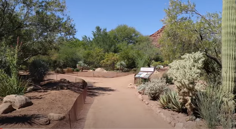What is There to Enjoy in Desert Botanical Garden?