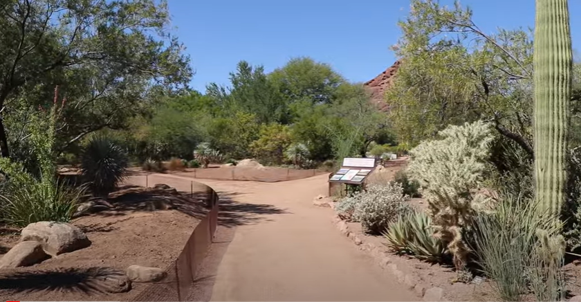 What is There to Enjoy in Desert Botanical Garden?
