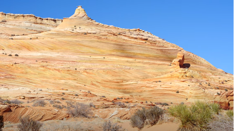Exploring the Majesty of Arizona: A Journey Through its Natural Wonders