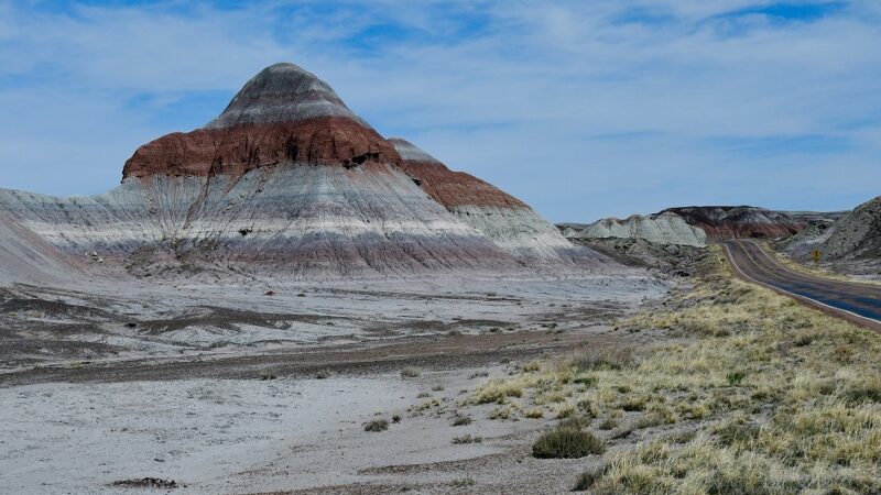 Petrified Forest National Park: Ancient Trees and Fossilized Treasures