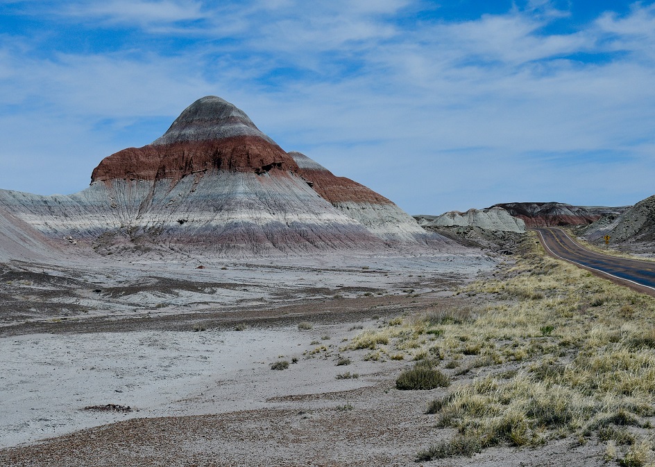 Petrified Forest National Park: Ancient Trees and Fossilized Treasures