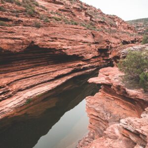 Oak Creek Canyon: A Lush Oasis amidst the Arizona Desert