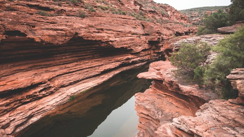 Oak Creek Canyon: A Lush Oasis amidst the Arizona Desert