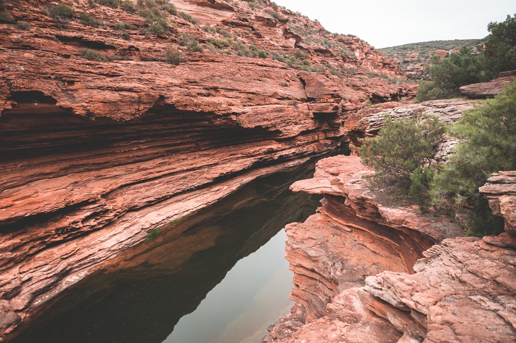 Oak Creek Canyon: A Lush Oasis amidst the Arizona Desert